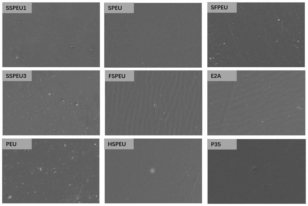 Polyurethane with biological stability and mechanical stability as well as preparation method and application thereof