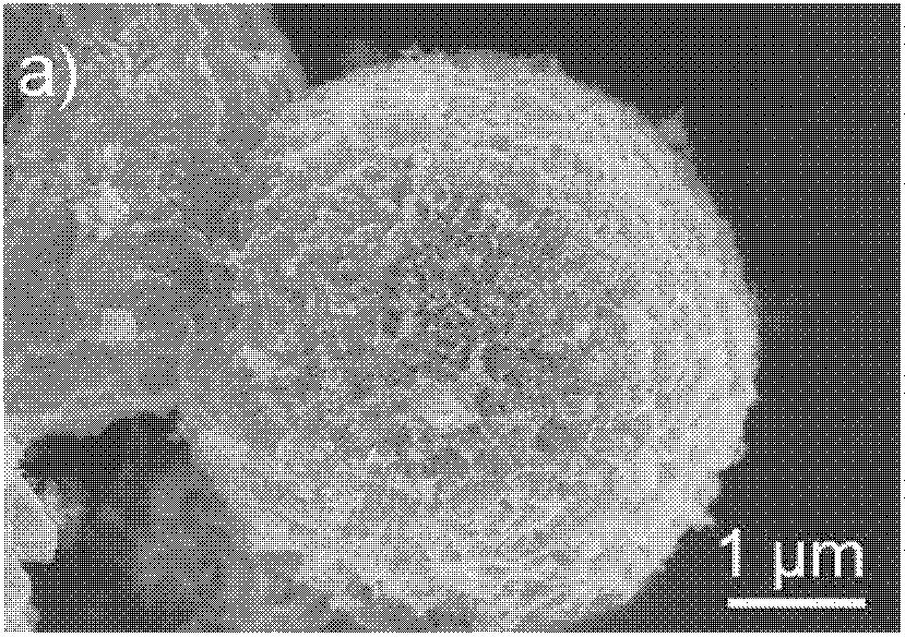 Titanium dioxide nano wire microsphere photocatalysis material with hydrogenated surface and preparation method thereof