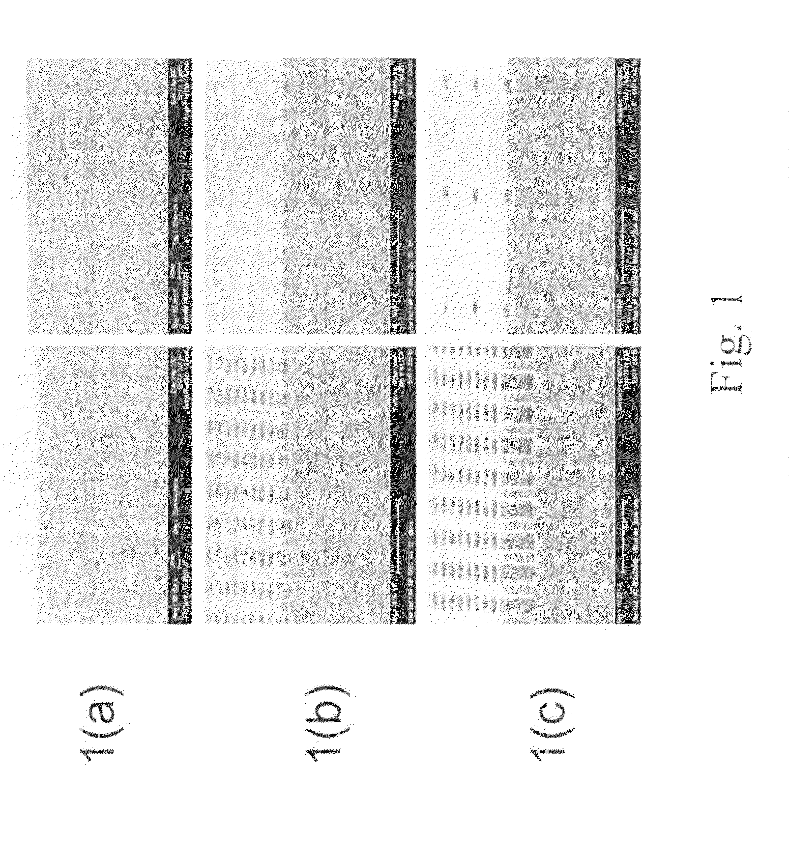 Non-covalently crosslinkable materials for photolithography processes