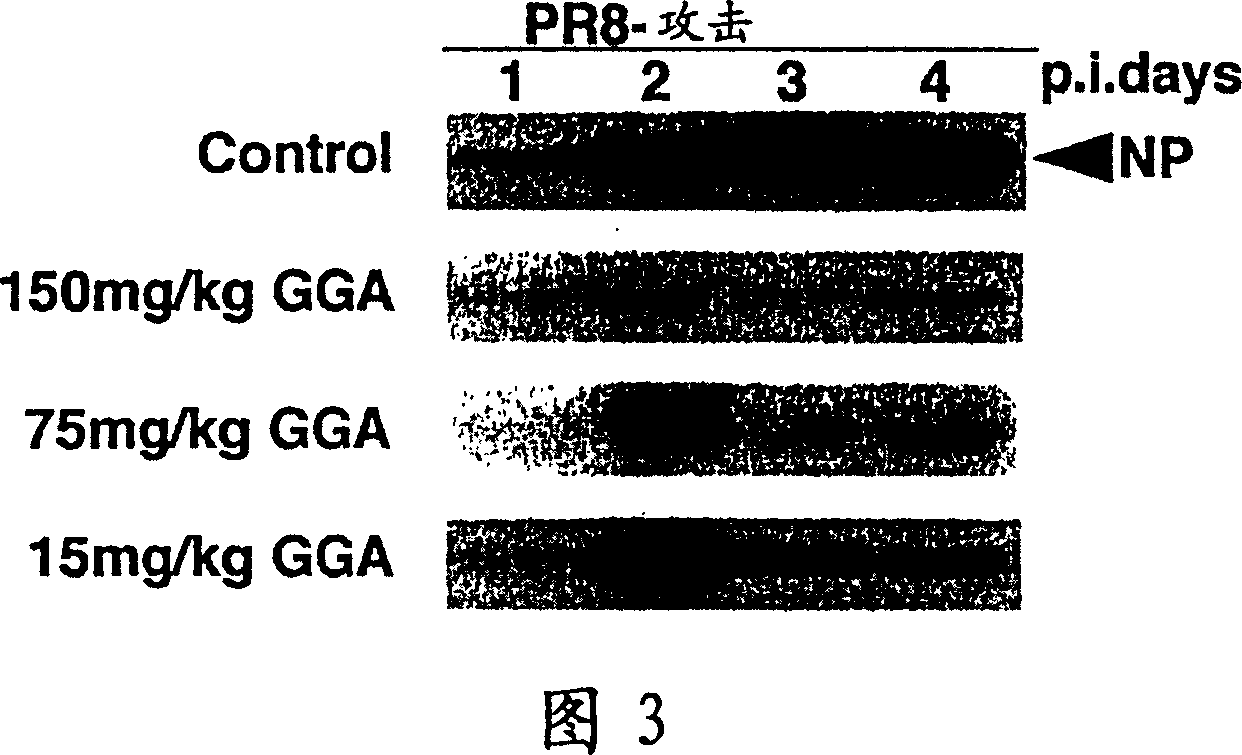 Preventive and/or therapeutic agent for viral infection