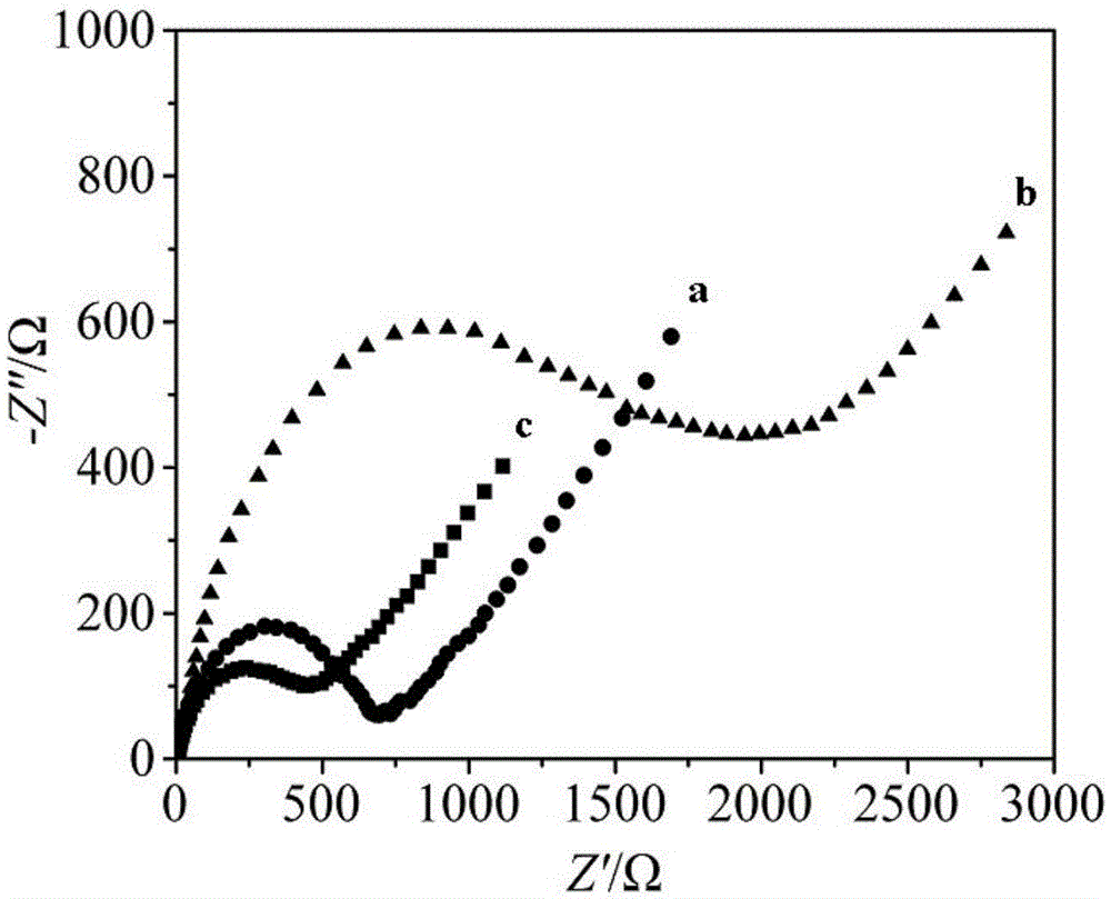 A Novel Electrochemical Sensor for Hydrogen Peroxide