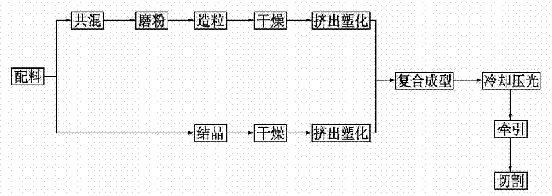 APET/PETG composite material and its production technology