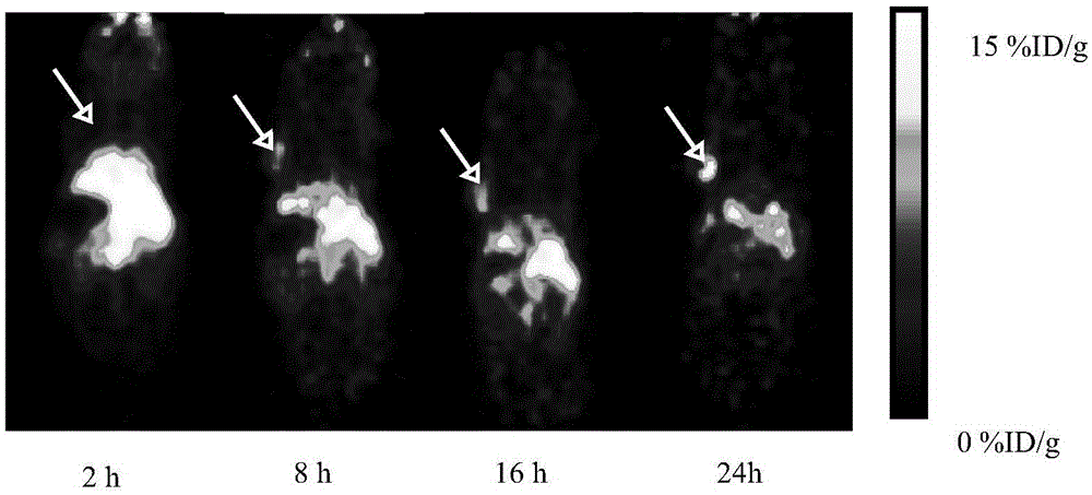 A kind of molecular probe and its preparation method and application