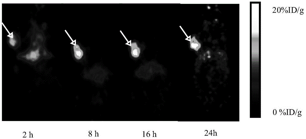 A kind of molecular probe and its preparation method and application