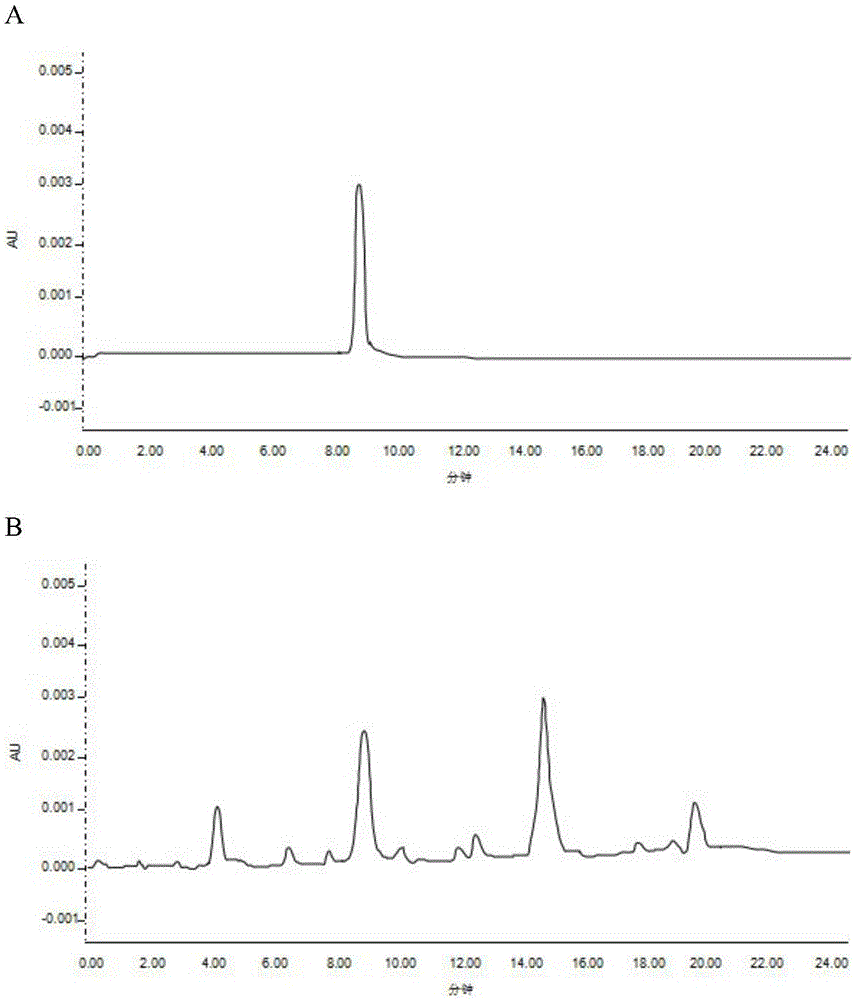 Rapid and efficient detection method of brassinosteroid