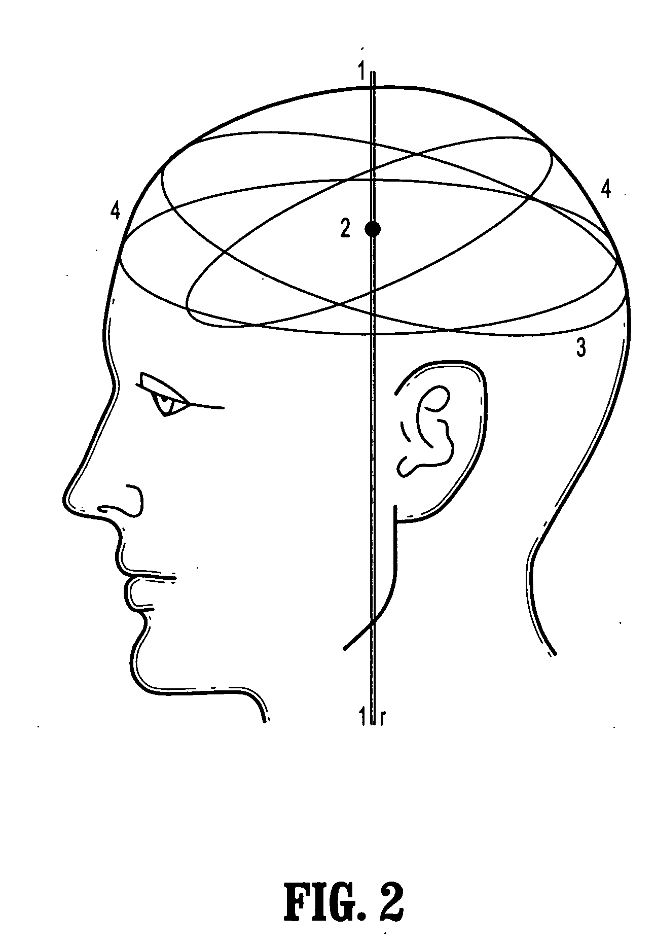 System and method for fetal biometric measurements from ultrasound data and fusion of same for estimation of fetal gestational age