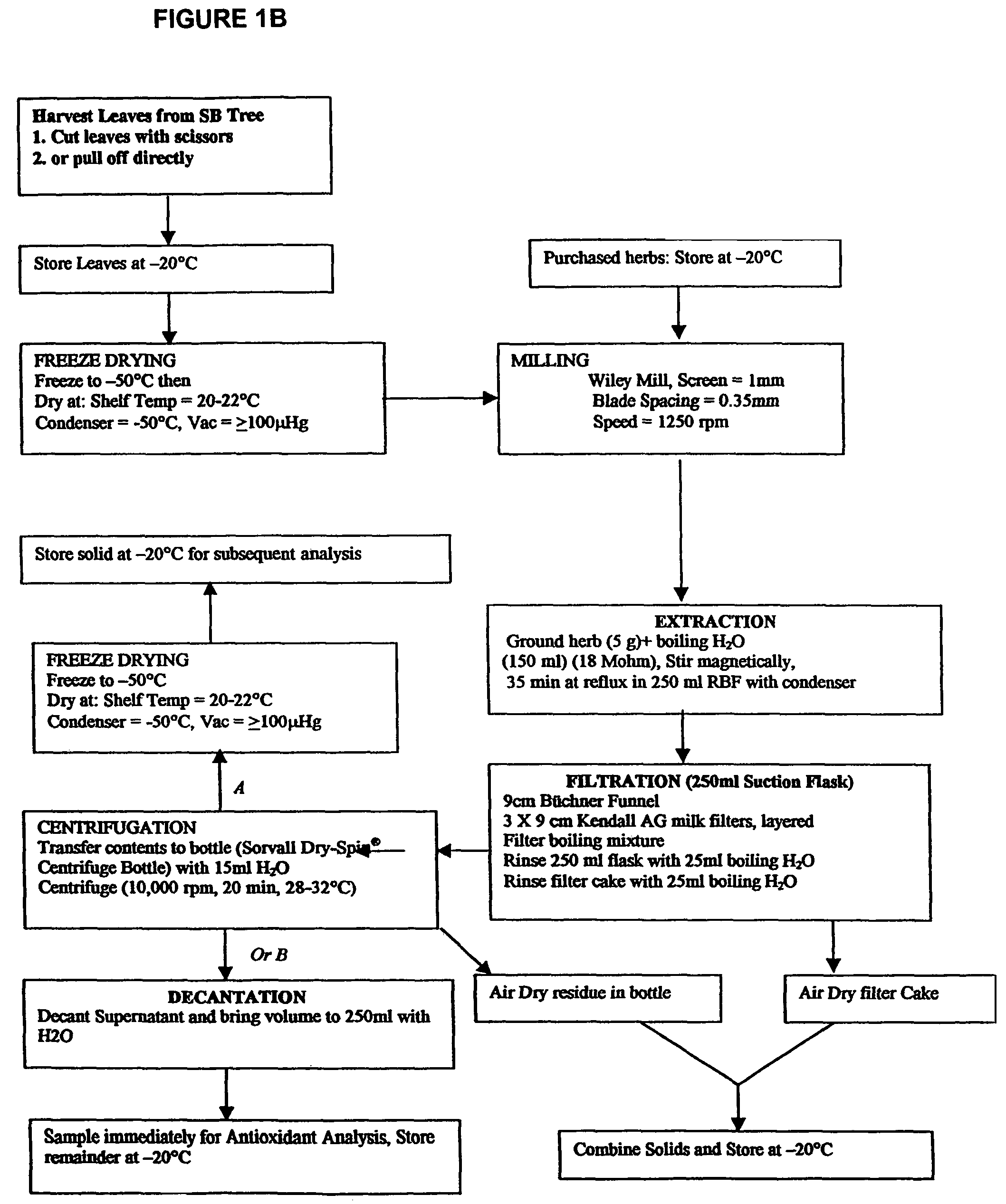 Compositions of botanical extracts for cancer therapy