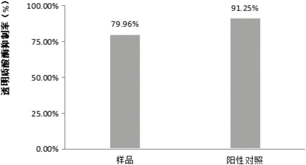 Externally used traditional Chinese medicine composition and preparation which are capable of avoiding allergy and relieving itching, and preparation method thereof