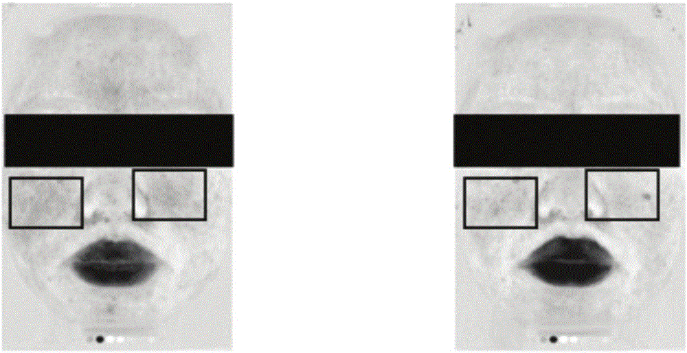 Externally used traditional Chinese medicine composition and preparation which are capable of avoiding allergy and relieving itching, and preparation method thereof