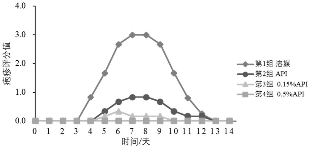 External preparation of ganciclovir and application thereof