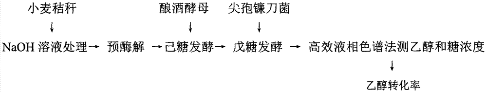 Method of simultaneous saccharification total fermentation