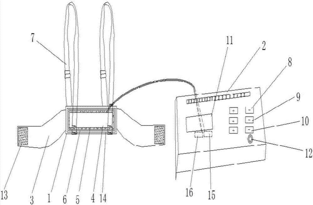 Pigeon breast rehabilitation massage physiotherapy instrument