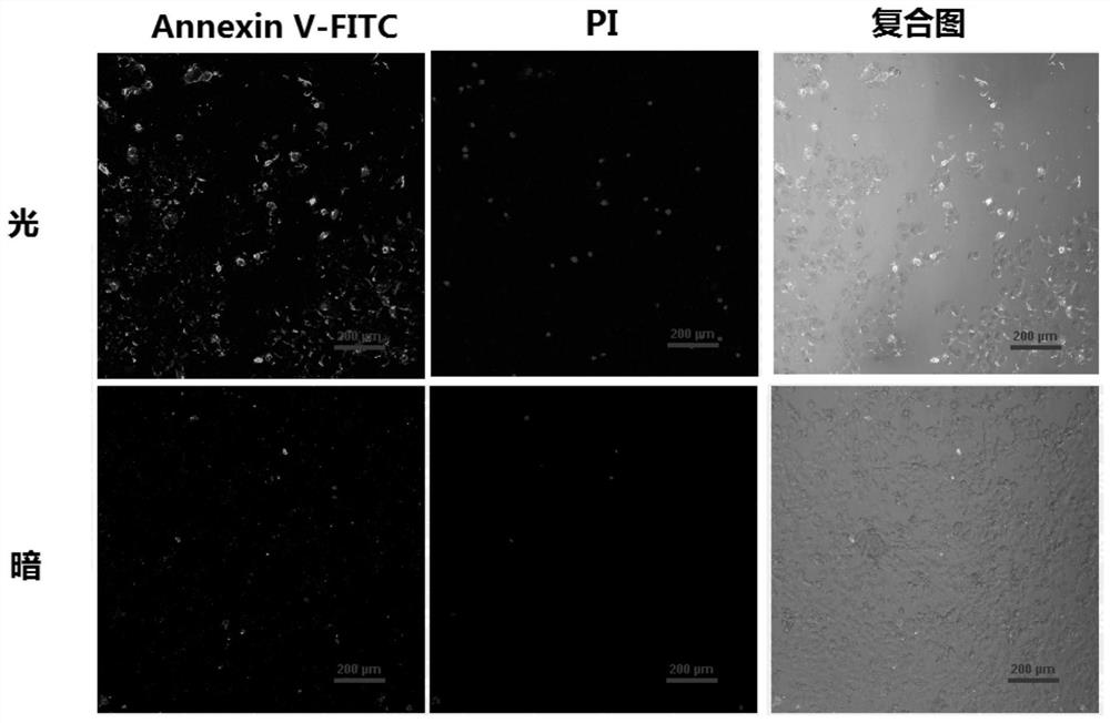 A kind of polypyridine ruthenium complex and its preparation method and application