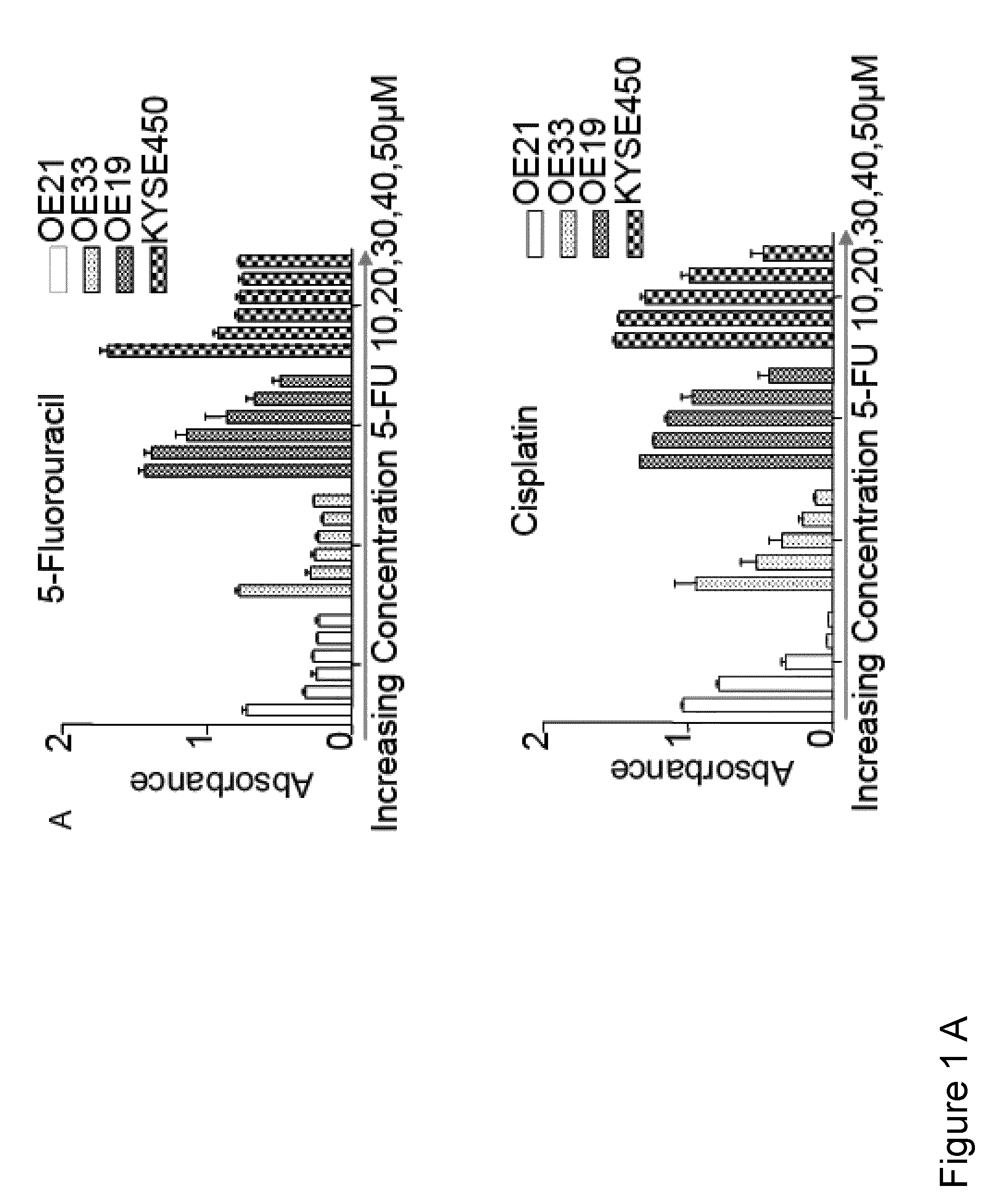 Method for the treatment of cancer