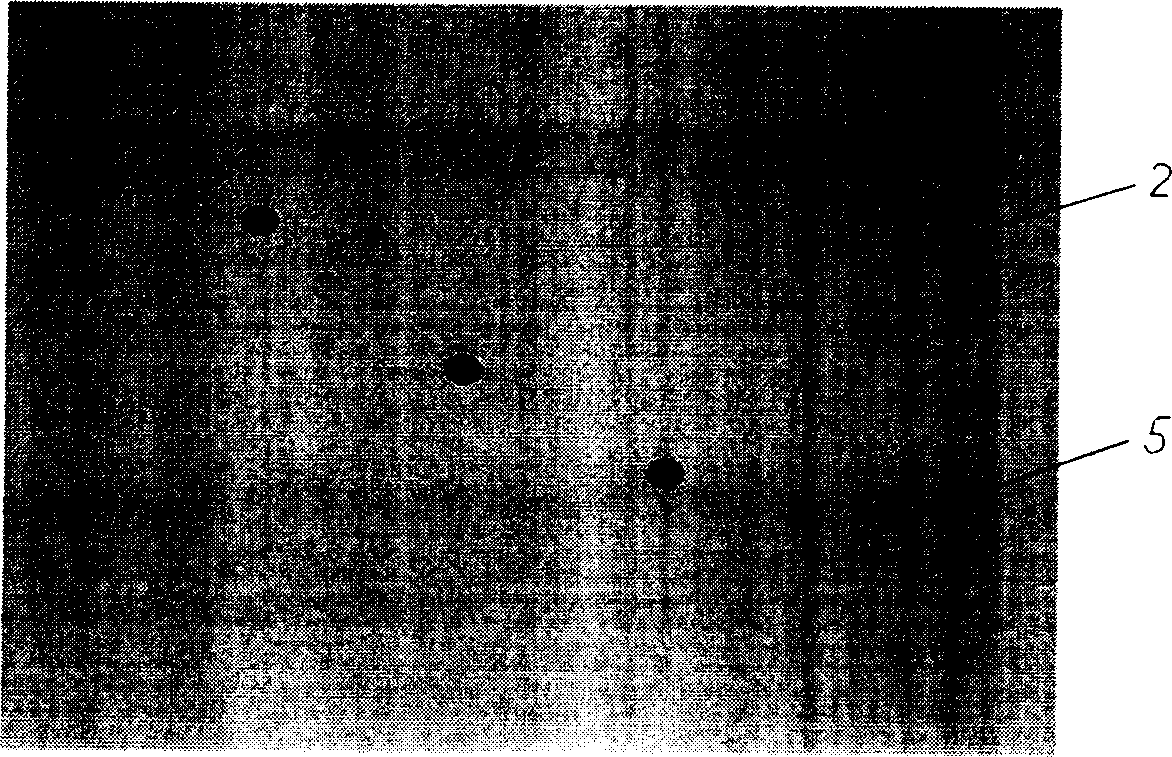 Multi-point displacement/deflection detection and monitoring device and method