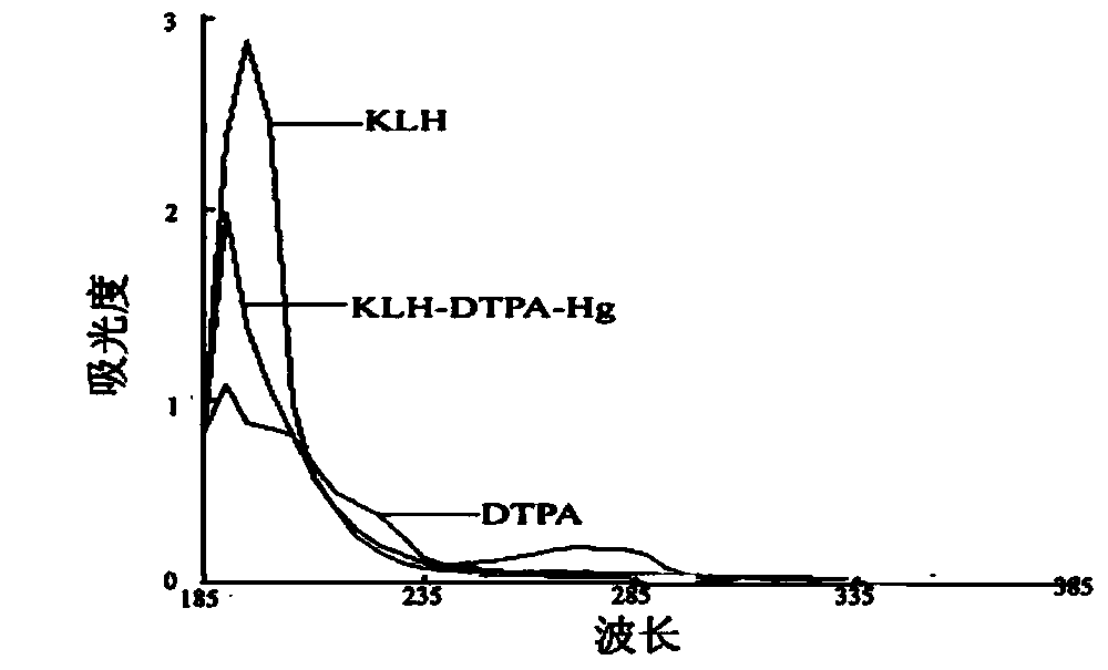 Rapid detection method and kit for mercury poisoning based on magnetic separation and quantum dot marking