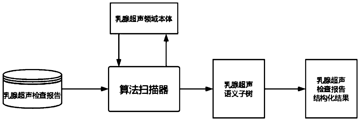 Domain ontology-based breast ultrasonic examination report structuring method