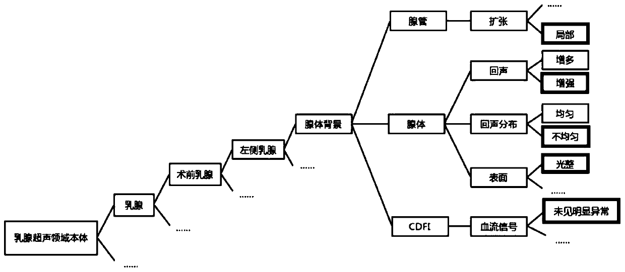 Domain ontology-based breast ultrasonic examination report structuring method