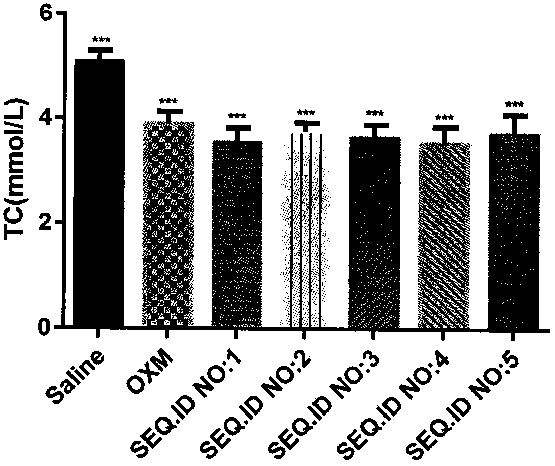 Long-acting hypoglycemic weight-reducing peptide as well as preparation method and application thereof as medicine