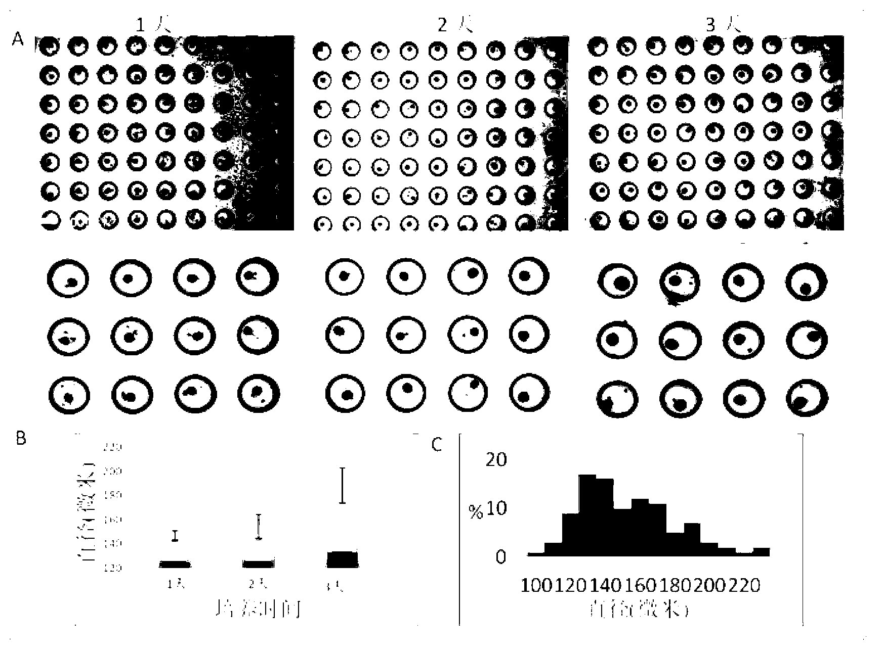 Preparation method and application of PDMS polymer chip of arc-shaped concave aperture