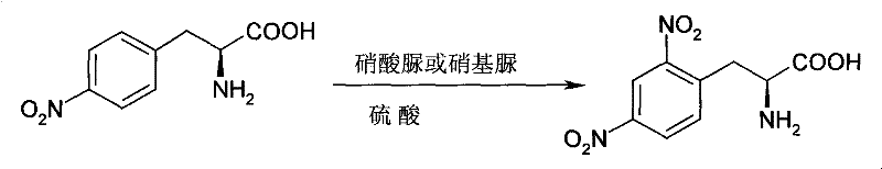 Process for synthesizing L-2,4-dinitrophenyl alanine