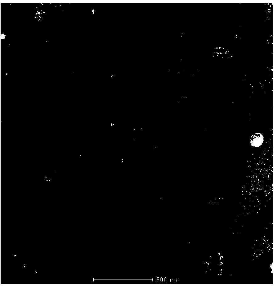 Method for constructing tissue-engineered pulsating tissue