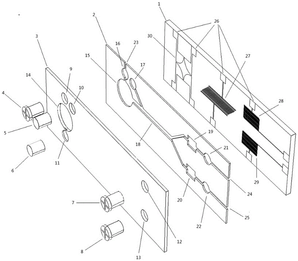 A cell culture microfluidic chip with self-antibacterial function