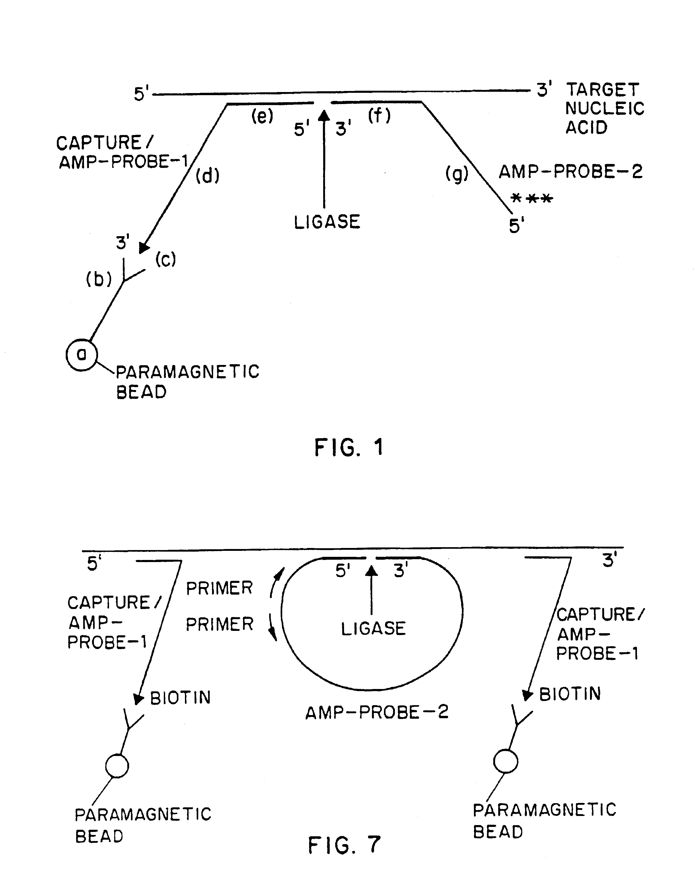 Nucleic acid amplification method: ramification-extension amplification method (RAM)