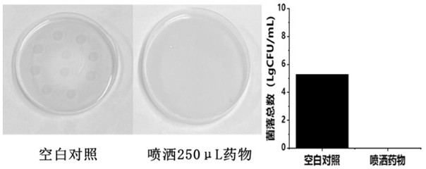 Water-soluble polymer sterilizing agent and preparation method thereof