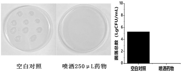 Water-soluble polymer sterilizing agent and preparation method thereof