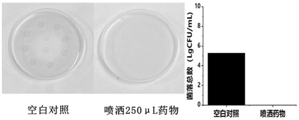 Water-soluble polymer sterilizing agent and preparation method thereof