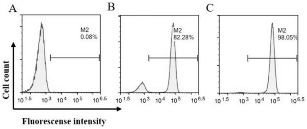 Chimeric antigen receptor capable of enhancing anti-tumor capability of CAR-T cell, D-CAR-T cell and application of D-CAR-T cell