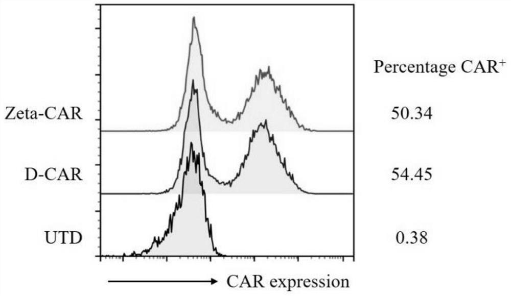 Chimeric antigen receptor capable of enhancing anti-tumor capability of CAR-T cell, D-CAR-T cell and application of D-CAR-T cell