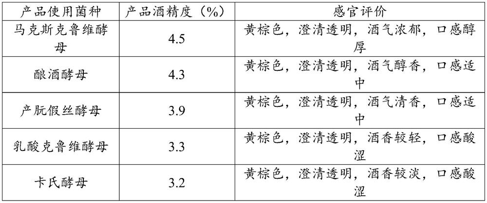 Gynura procumbens wine and preparation method thereof