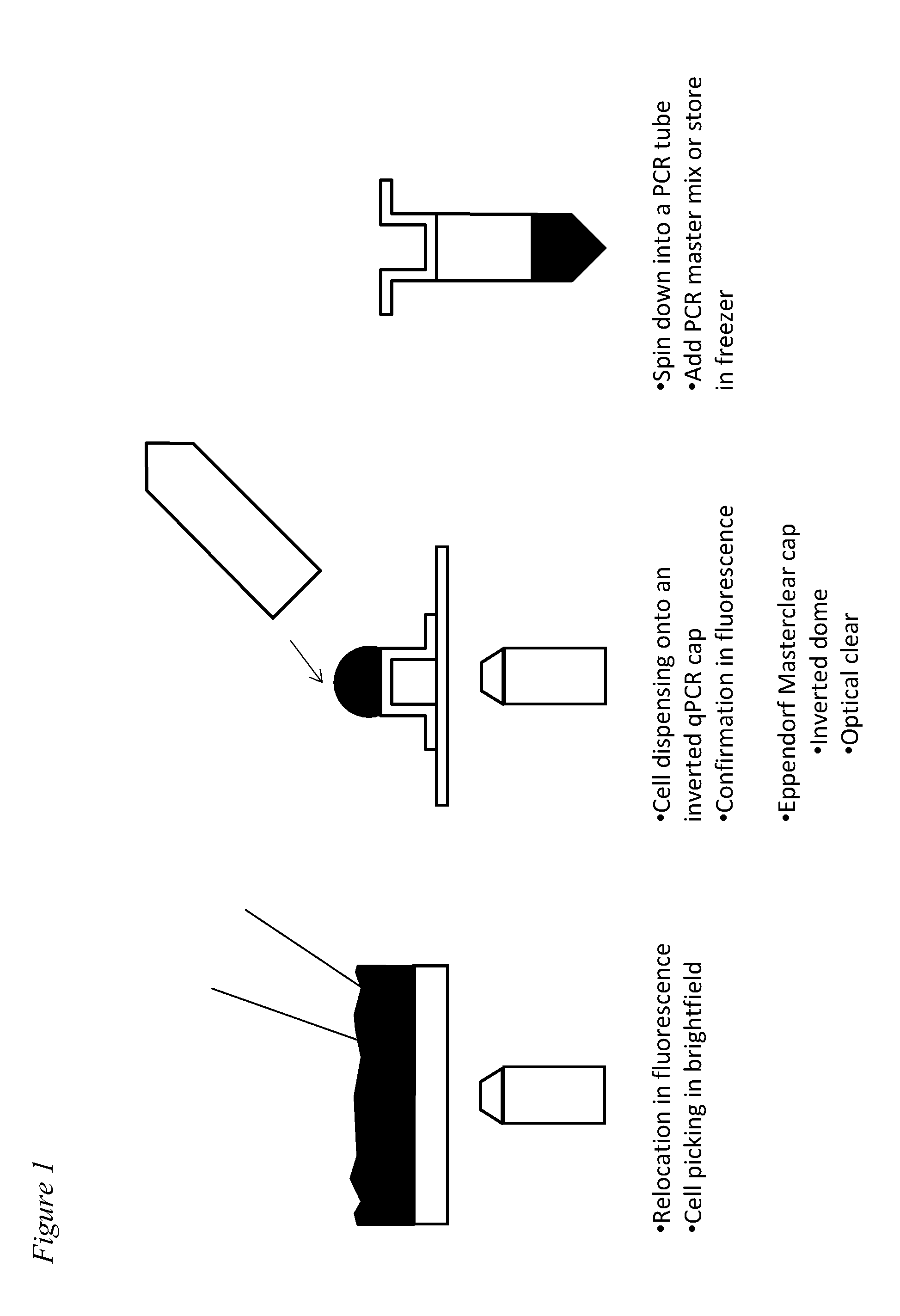 Methods for obtaining single cells and applications of single cell omics