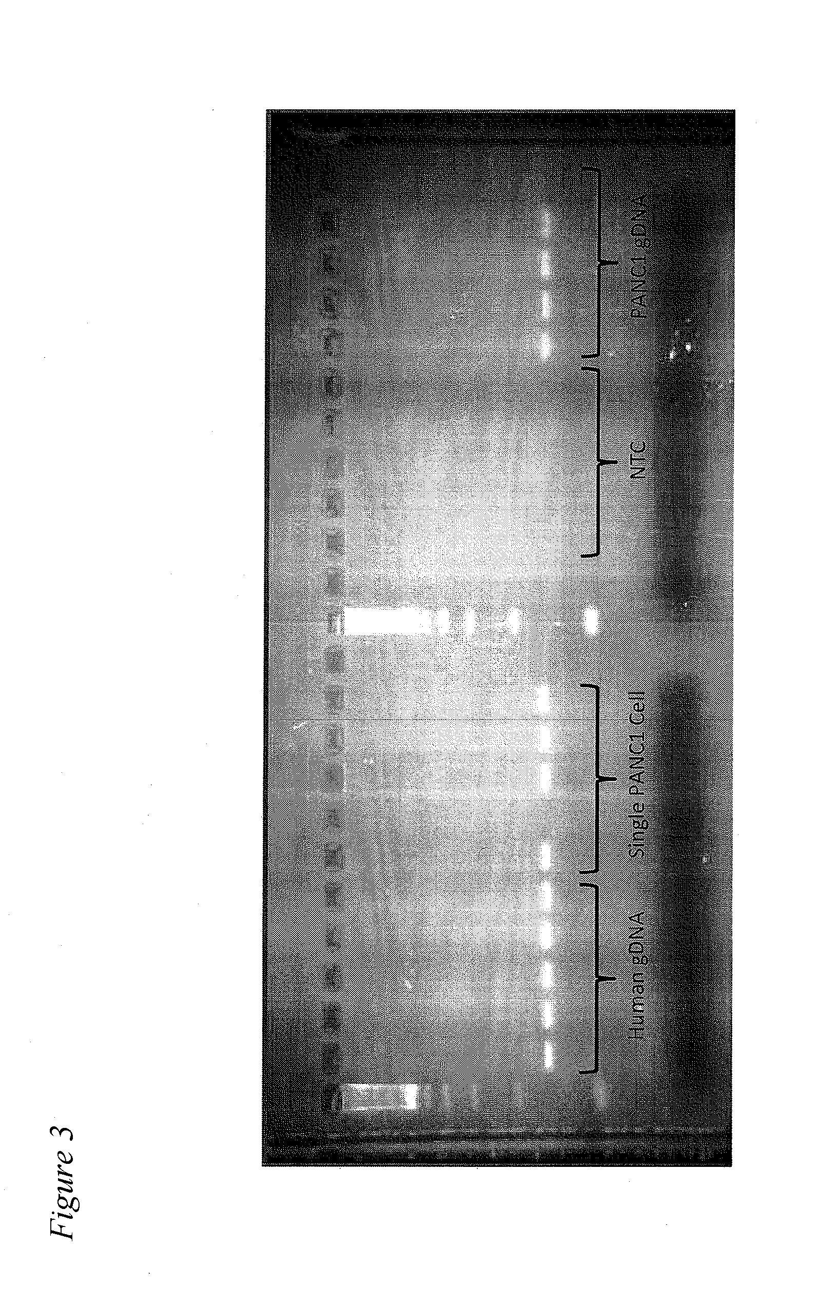 Methods for obtaining single cells and applications of single cell omics