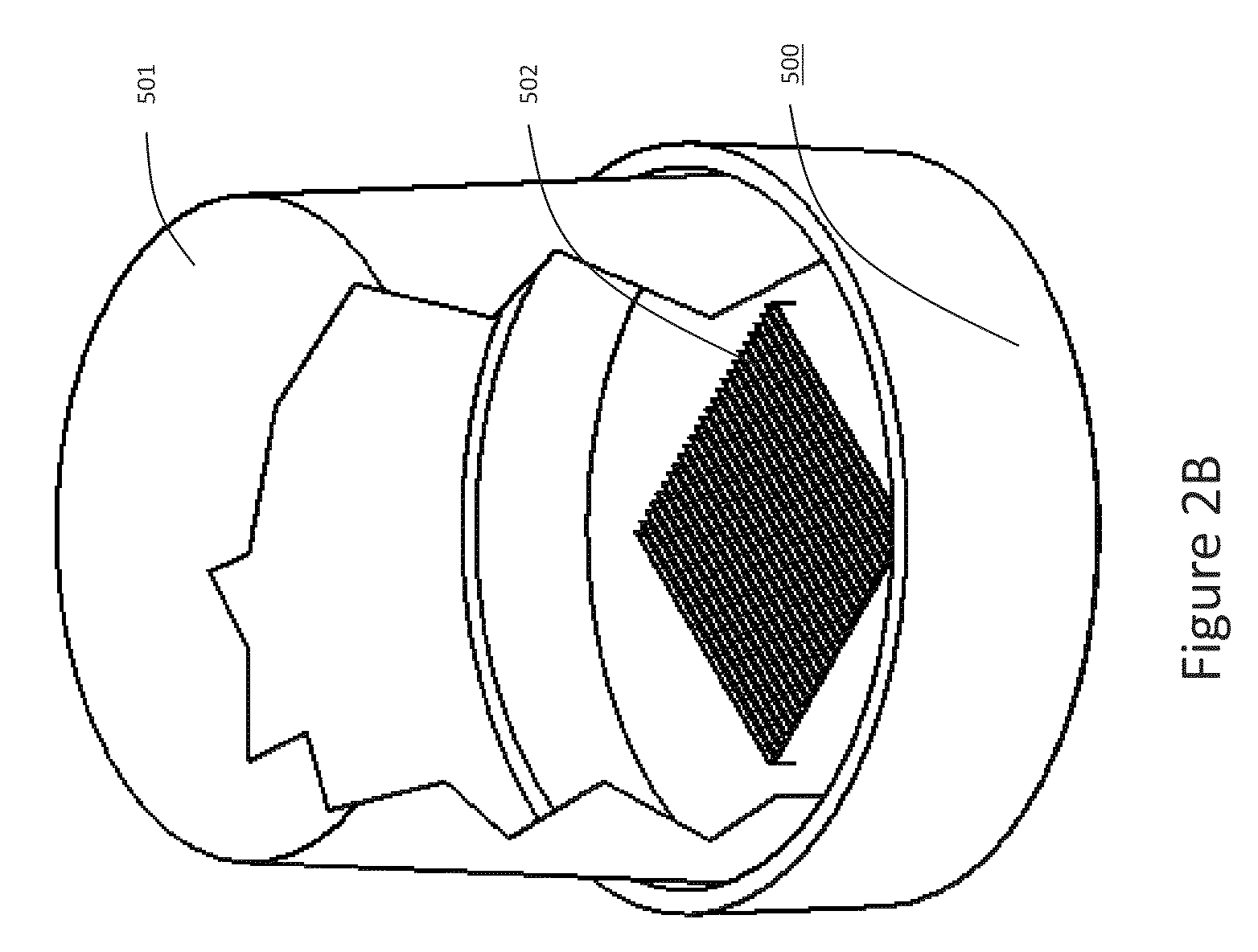 Method and apparatus for forming of an automated sampling device for the detection of <i>Salmonella enterica </i>utilizing an electrochemical aptamer biosensor