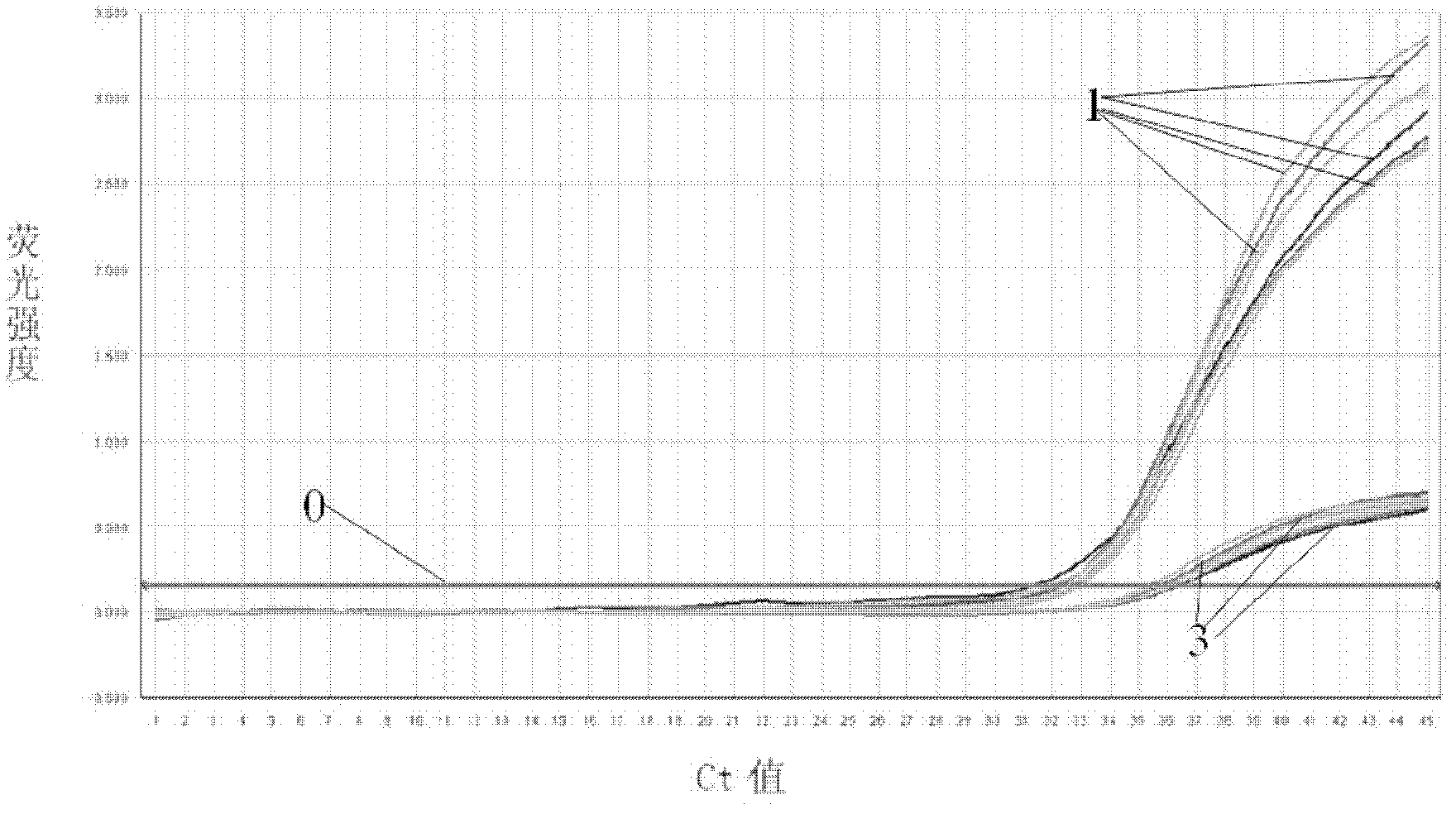 Real-time fluorescent quantitative PCR (polymerase chain reaction) detection method