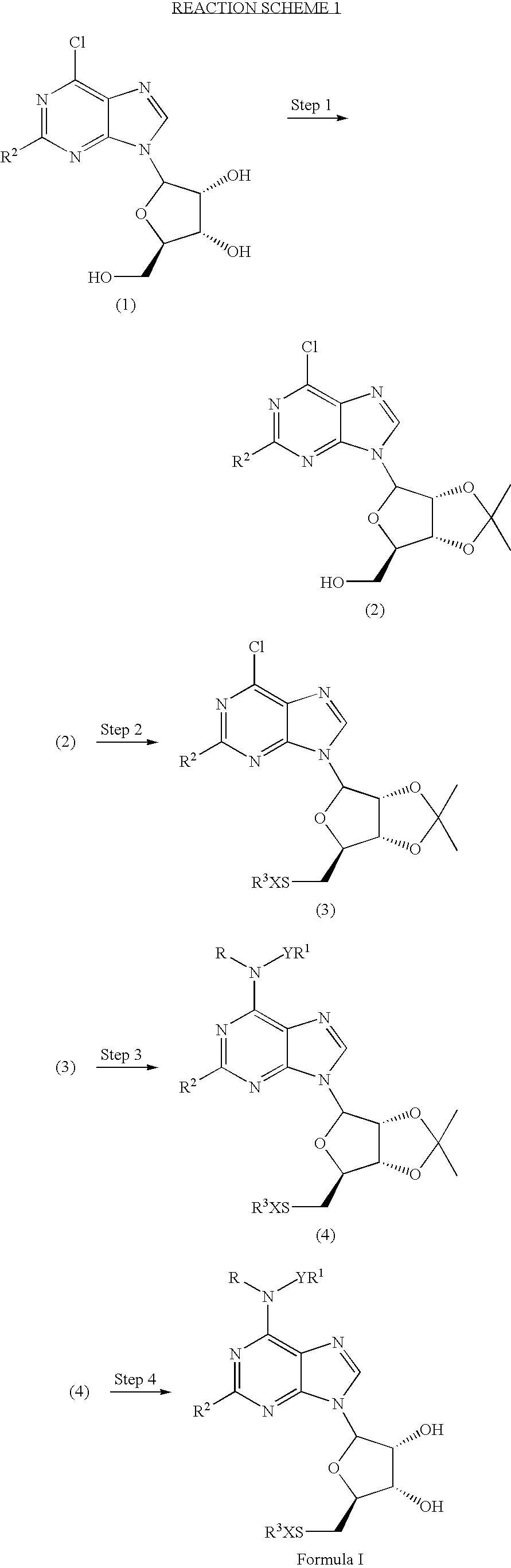 Partial and full agonists of A1 adenosine receptors