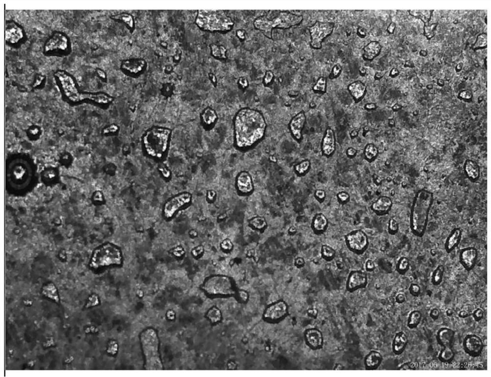 Dendrite-free alkali metal ion battery based on negative electrode surface solid/liquid phase conversion