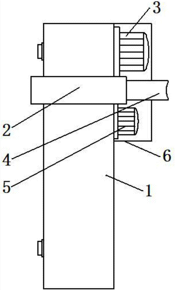 Sea cucumber catching device