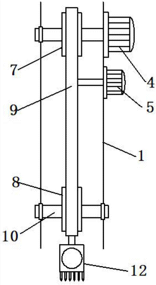 Sea cucumber catching device