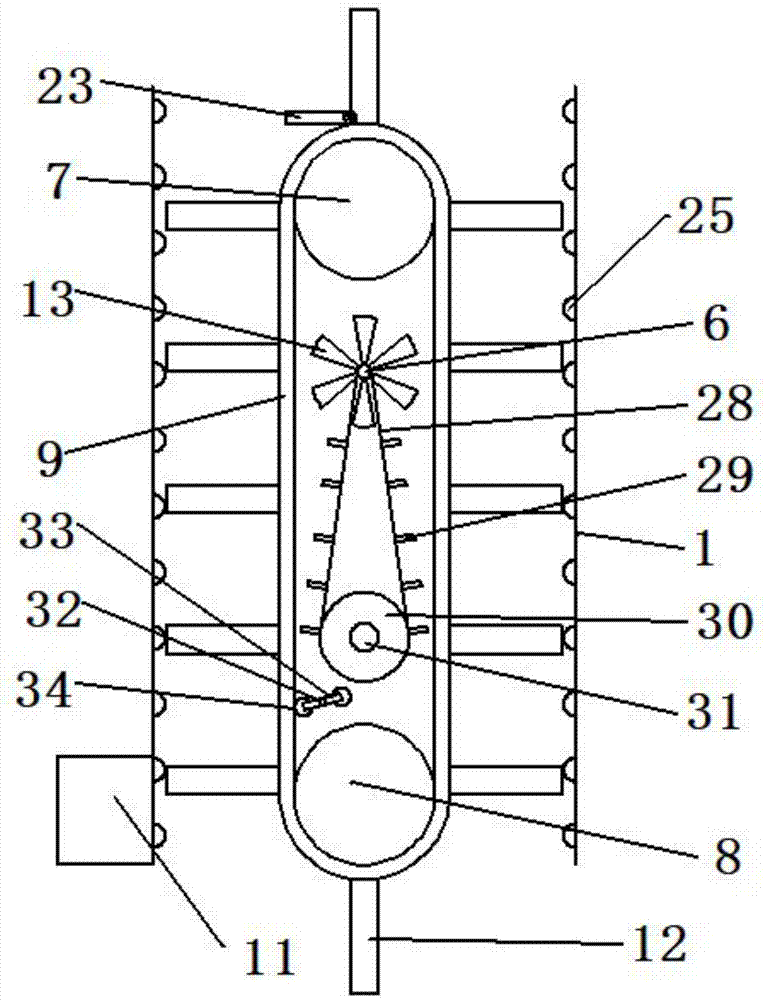 Sea cucumber catching device