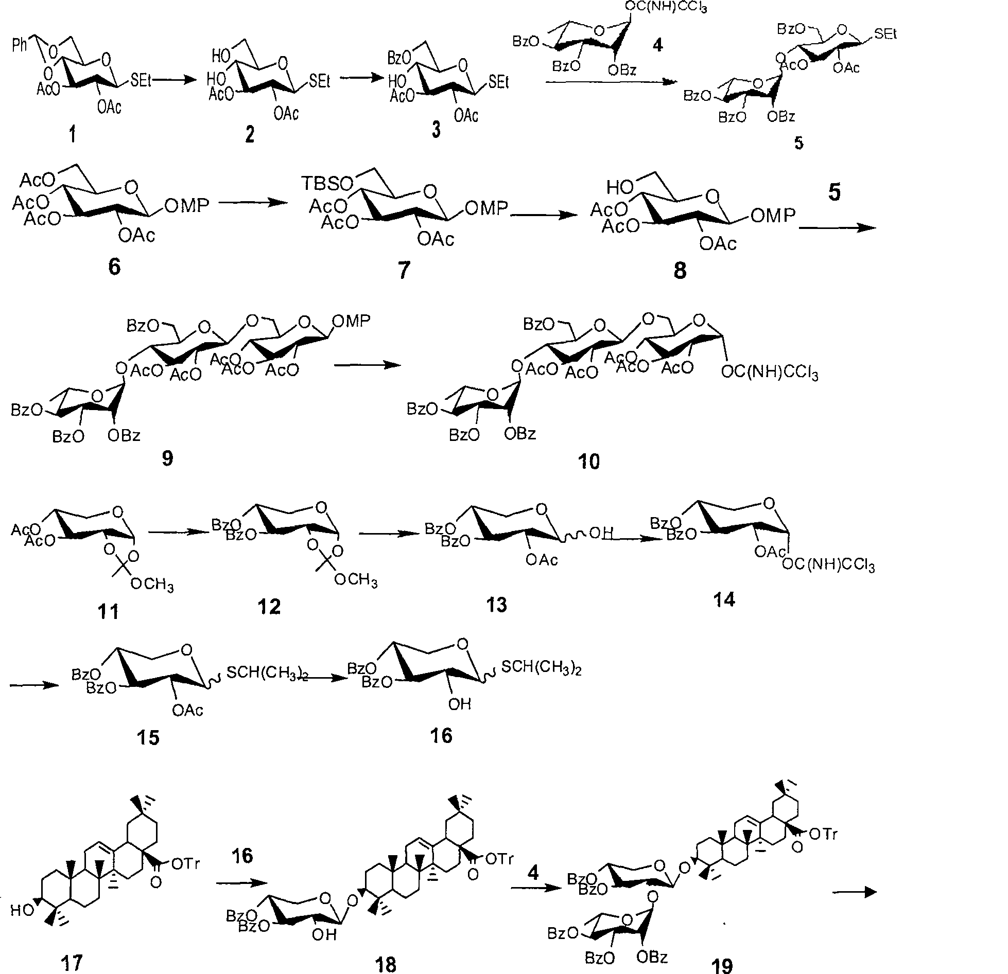 Method for synthesizing anemone flaccida saponins W3