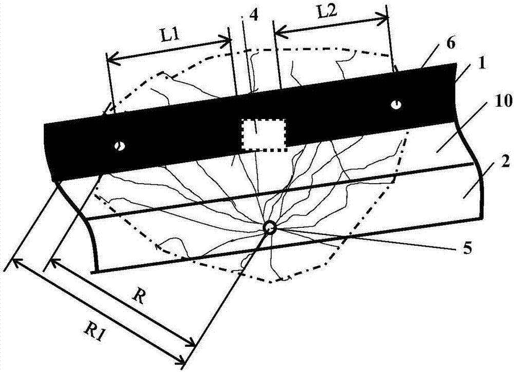 Method for gas drainage and regional outburst elimination of coal roadway strips by staged fracturing and along seam long borehole drilling in floor strata