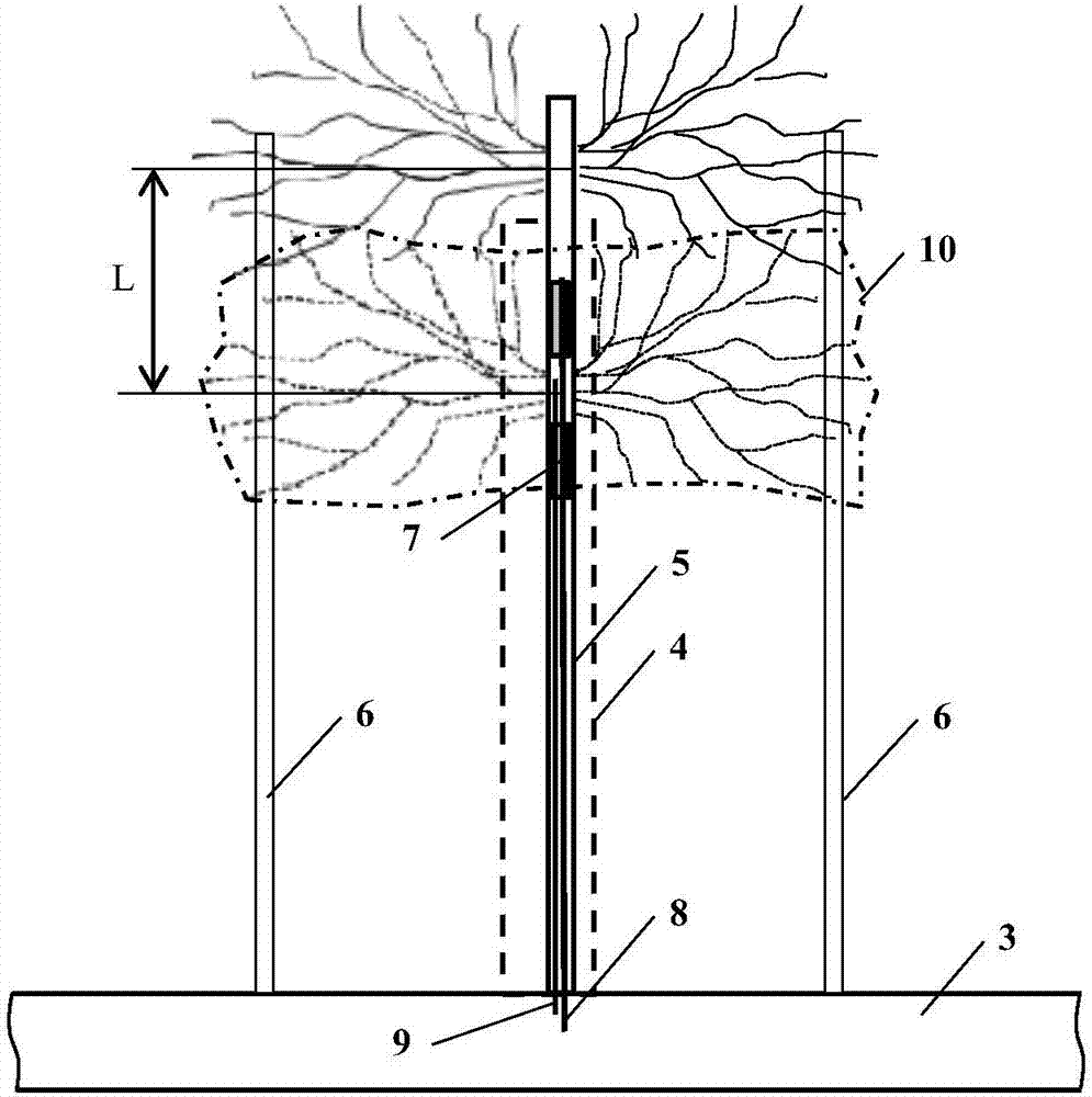 Method for gas drainage and regional outburst elimination of coal roadway strips by staged fracturing and along seam long borehole drilling in floor strata