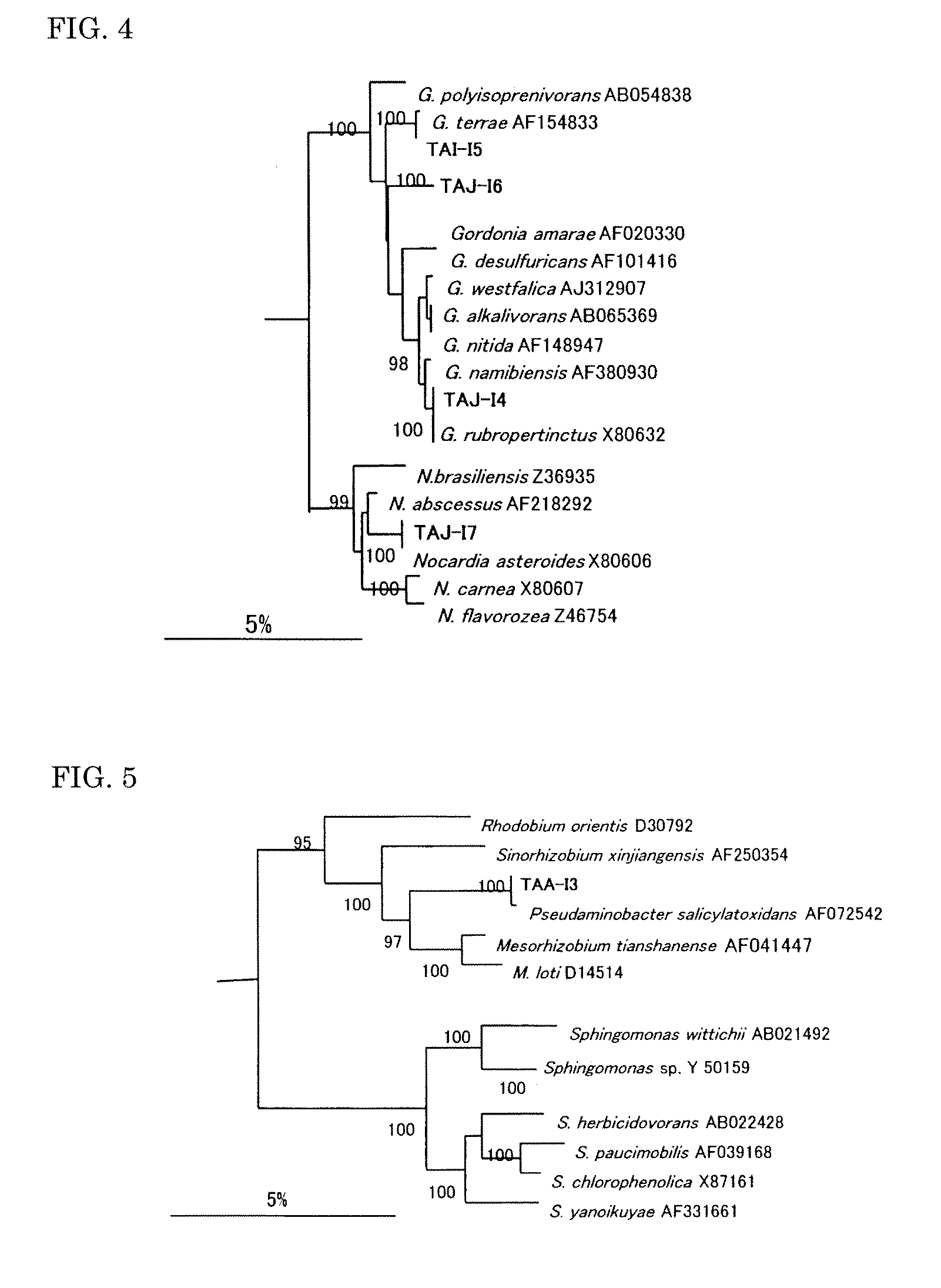 Estrogenic substance degradable microorganism and use thereof