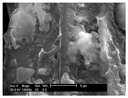 Preparation method of Ageratina-adenophora-base high-specific-area activated carbon