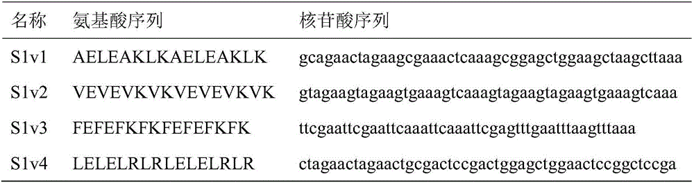 Alkaline pectinase mutant with improved secretion property