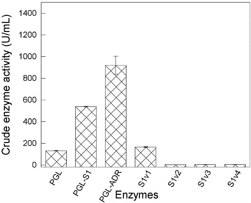 Alkaline pectinase mutant with improved secretion property